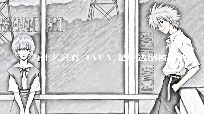为什么只有 JAVA 是一边倒被骂的?