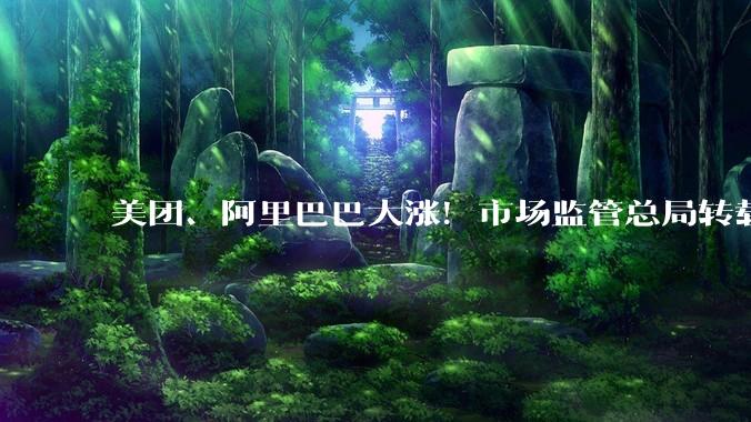 美团、阿里巴巴大涨！市场监管总局转载评论：外卖大战该结束了_服务_涨超_惠企