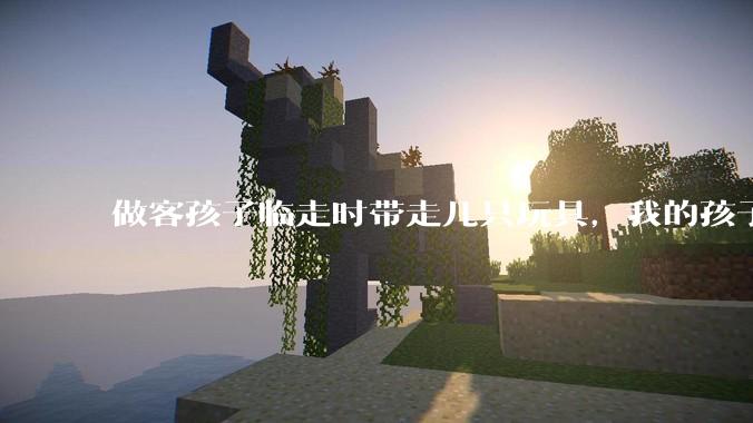 做客孩子临走时带走几只玩具，我的孩子抗拒并一直哭，要怎么开导？
