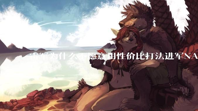 雷军为什么不愿意用性价比打法进军NAS？