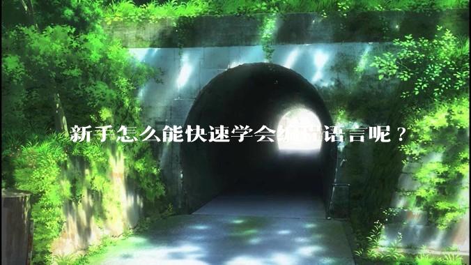 新手怎么能快速学会编程语言呢?