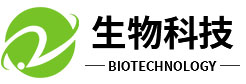 栾城网站建设_网站建设公司_网站建设设计制作_seo优化